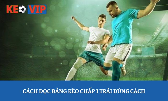 Kèo chấp 1 trái: Vì sao nhiều người đọc sai ý nghĩa bảng kèo? 2 Cách đọc bảng kèo chấp 1 trái đúng cách